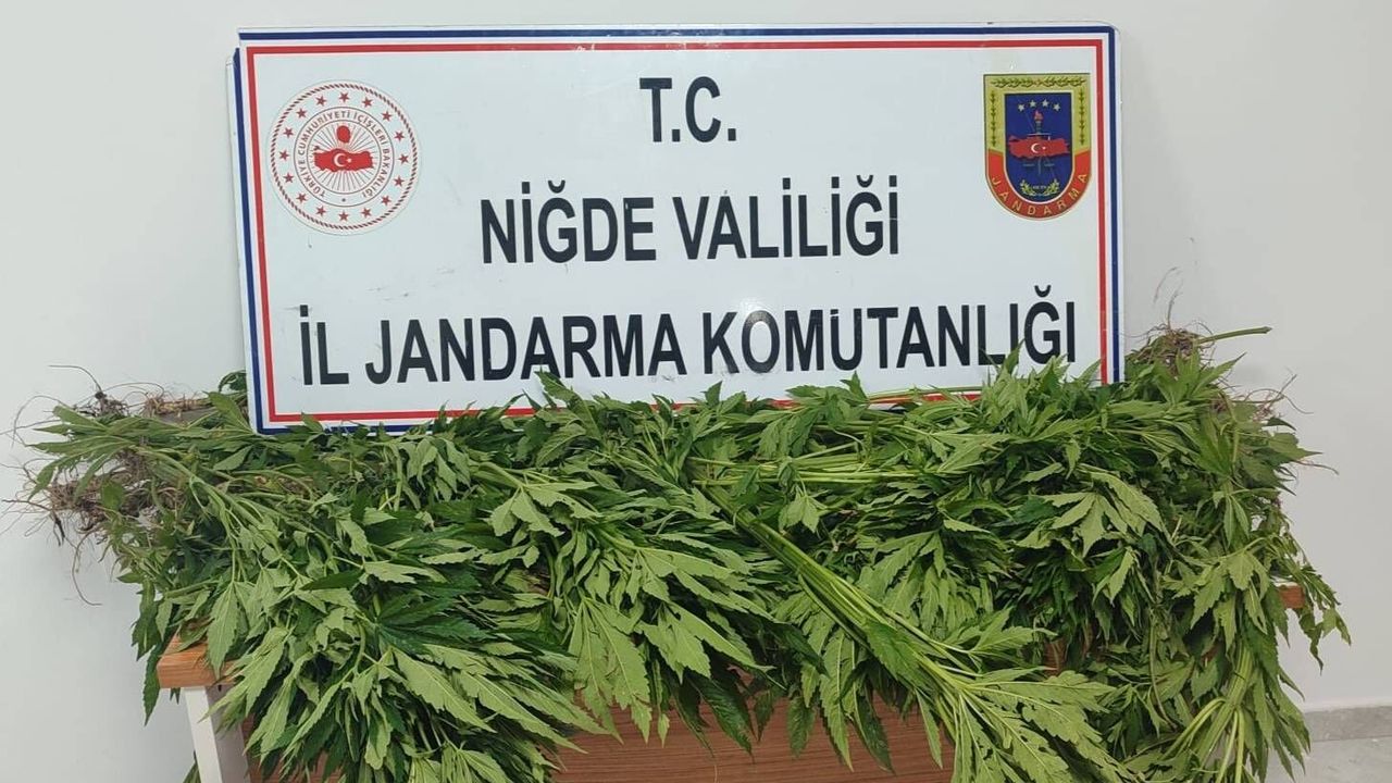 Hacıabdullah'ta Narkotik Operasyonu
