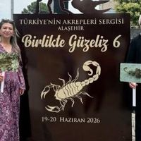 GÜNCEL
