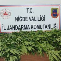 ASAYİŞ 