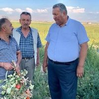 SİYASET
