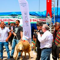 GÜNCEL