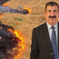 GÜNCEL