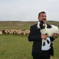 GÜNCEL