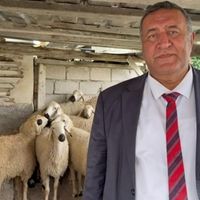 GÜNCEL