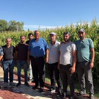 EKONOMİ