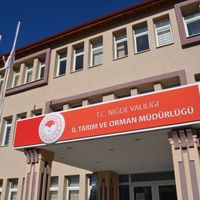 TARIM