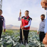 GÜNCEL