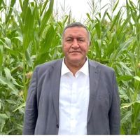 SİYASET