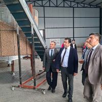 GÜNCEL