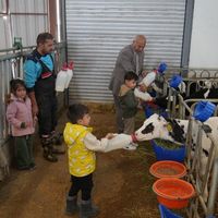 GÜNCEL