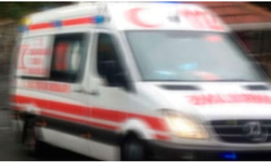 Kardeş kavgasında kan aktı