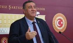Dericilik sektörü de sorunlu