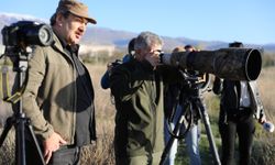 Vali Çelik, Akkaya Barajı'nda kuş gözlemi yaptı