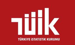 İnşaat maliyet endeksi yıllık yüzde 46,35 arttı