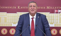 Gürer: On bin yıllık Niğde, turizmde hak ettiği değeri alamıyor!