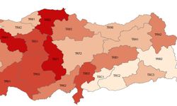 Erhan Adem: TÜİK bile saklayamadı! Millet et, tavuk yiyemiyor