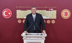 Gürer: ”Ayçiçeği alım fiyatı üreticiyi korumalıdır”