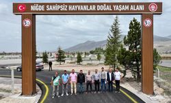 Vali Çelik, Sahipsiz Hayvanlar İçin Kurulan Doğal Yaşam Alanı’ndaki Çalışmaları Yerinde İnceledi