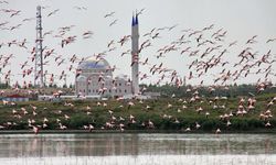 Yerli Ve Milli Geleceğin Adresi: NÖHÜ