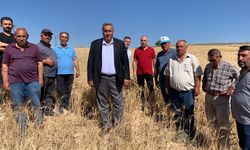 Gürer: “Çiftçinin vergi yükü, tarımsal sulamada düşürülsün”
