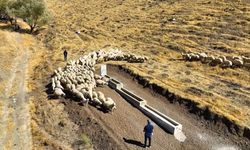 Niğde'de meralara yeni hayvan içme suyu alanı kazandırıldı