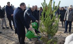 NÖHÜ’nün “Bal Ormanı” Projesinde 4. Etap Tamamlandı: 5 Bin Fidan Toprakla Buluştu