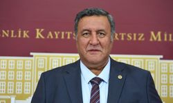 Gürer’in sorularını Bakan yanıtladı