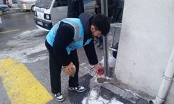 Soğuk Günlerde Can Dostlara Umut Oldular