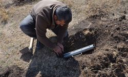 Üç yeni endemik fare türü keşfedildi