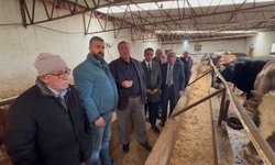 Vekil Gürer: ”Hayvan varlığı eriyor, ithalata kapı açılıyor”