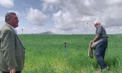 Gürer: "Toprağa küsen çiftçi, betonlaşmaya yenildi”