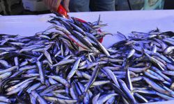 Balık Tezgâhlarında Kış Hareketliliği