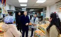 Vali Akmeşe ayağının tozuyla mesaiye başladı