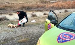 JANVAK Niğde Sokak Hayvanlarını yalnız bırakmadı