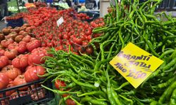 Sivri Biber ve Salatalık fiyatlarının ateşi yükseldi!