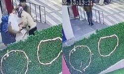 Kedinin çuvala konularak uzaklaştırıldığı görüntülere tepki