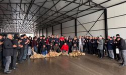 Çamardı’da Şükür Kurbanı