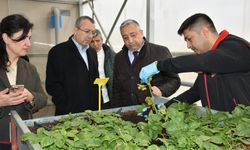 Denizbank’tan Patates Araştırma Enstitüsü’ne ziyaret