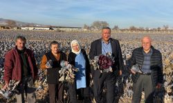 Gürer: “Kara Lahana tarlada kaldı, markette fiyatı katladı”