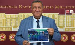 Vekil Gürer: ”Daha Az İthal Hayvana, Daha Çok Döviz”