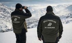 Yasa dışı ava 984 bin TL ceza!