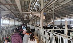 Çocuklar, tarımsal üretimi yerinde inceledi