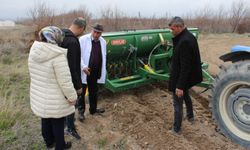 Kadın emeği tarımsal üretimle buluştu