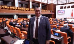 Gürer: “Kamu varlığı özelleşince kim kazanıyor?”