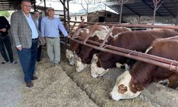 Vekil Gürer: ”Okyanus aşıldı ama kriz aşılamadı!”