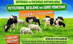 NÜSEM’de Hayvancılık Sertifika Programı başlıyor