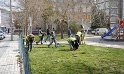 Belediye ekiplerinden bahara hazırlık