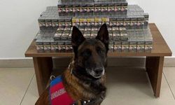 Yolcu otobüsünde kaçak sigara operasyonu