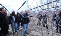 Meyve ağaçlarında doğru budama yöntemleri öğretildi