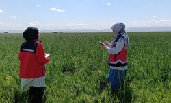 Bor’da tarım arazilerinde sağlık kontrolü